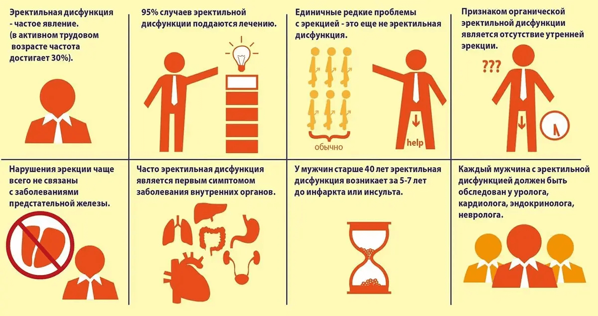 Инфографика эректильная дисфункция